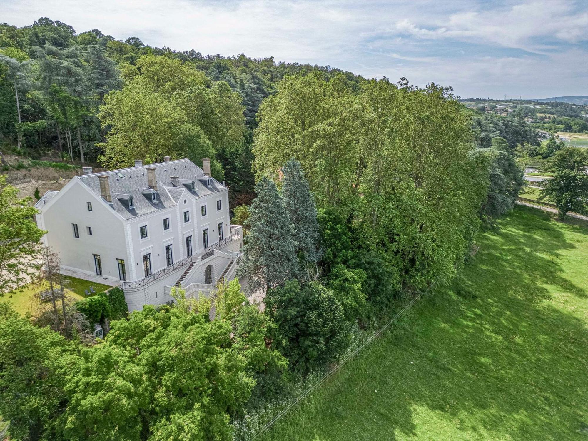 1 - Grand Appartement Spacieux Dans Un Chateau Du 17Eme Siecle, A 15Min De Lyon Vourles Экстерьер фото